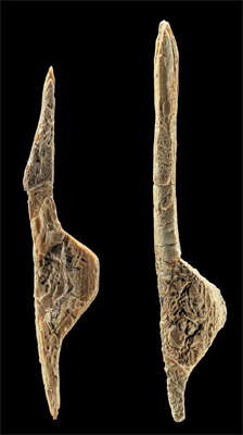 Early Bronze Age Ivory sculptures H.5.2cm and 6.5cm. Nebra, Unstrut Valley, Germany